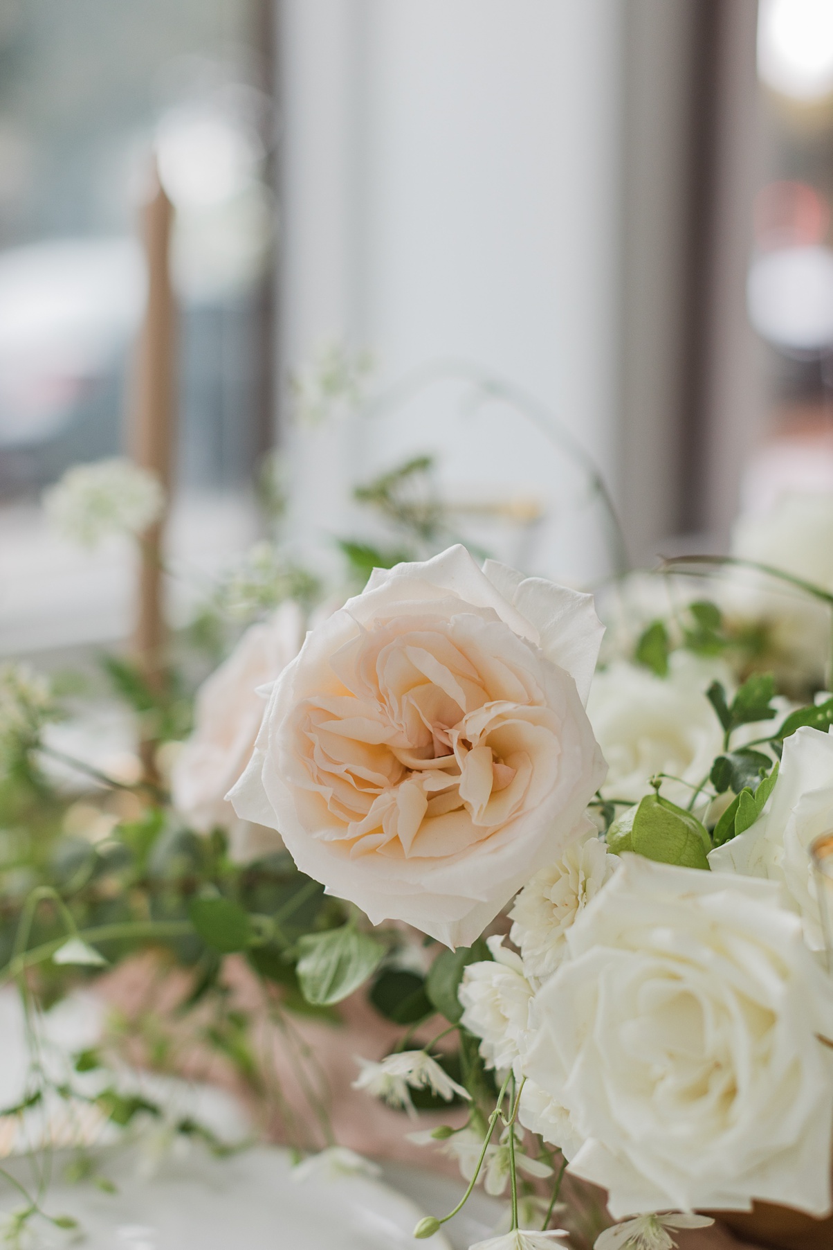 A close up of white and blush garden roses