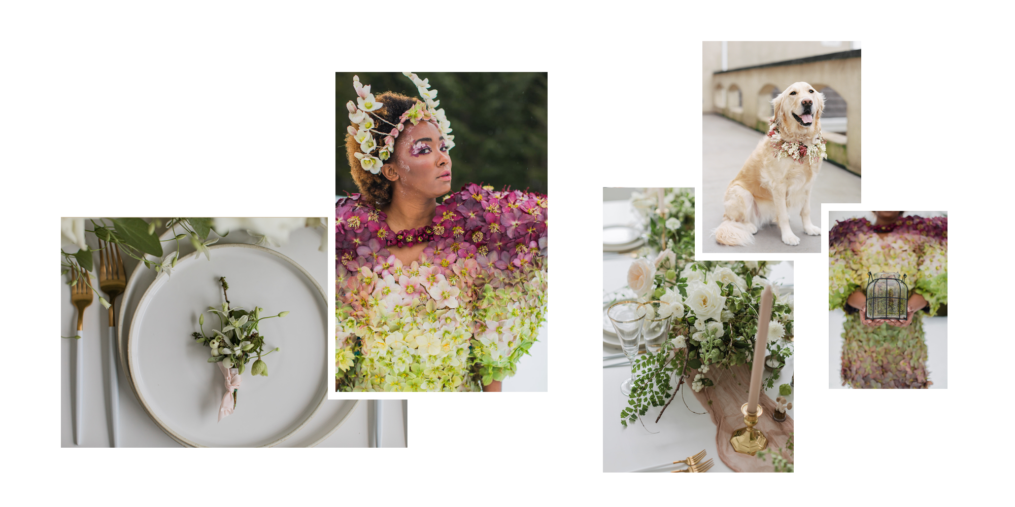Collage of images of Bloom Poet Floral Design including a flower dress, place setting, flower collar for a dog, and a wedding centerpiece