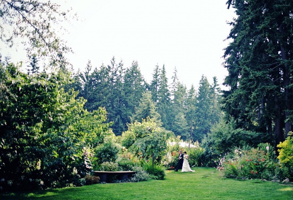 the garden at Fireseed Catering abutting some large evergreen trees