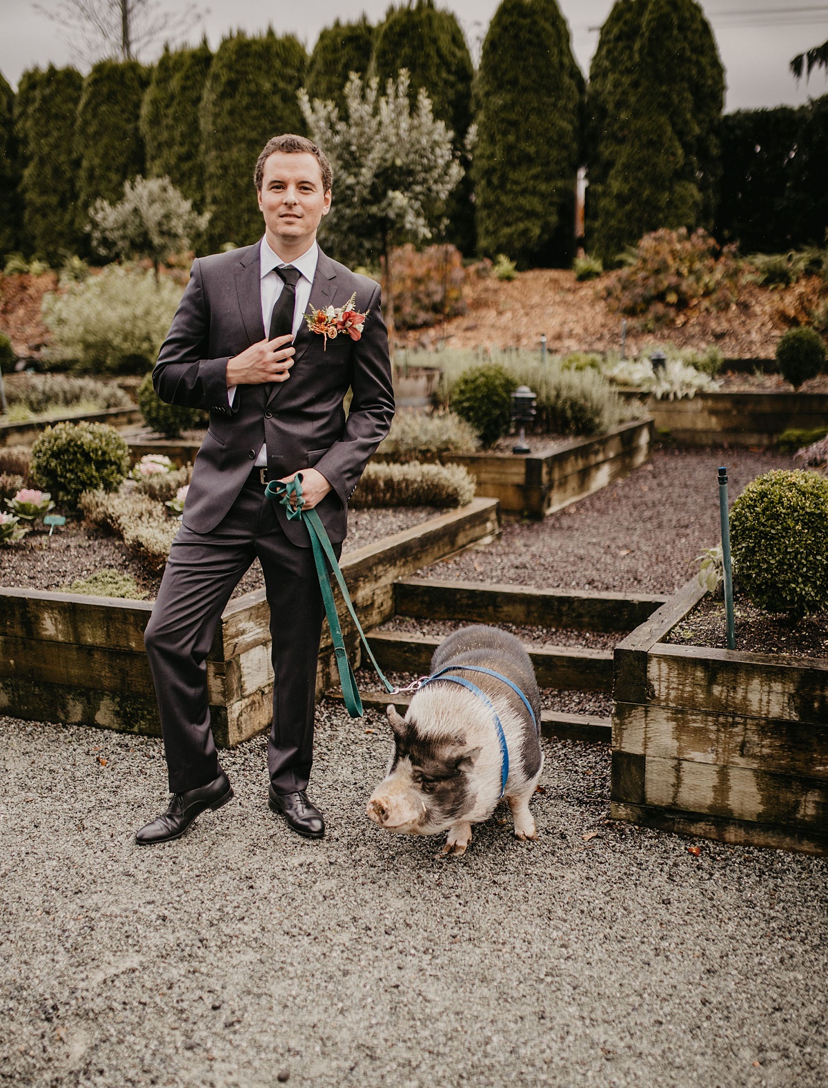 a groom with the resident pot-bellied pig