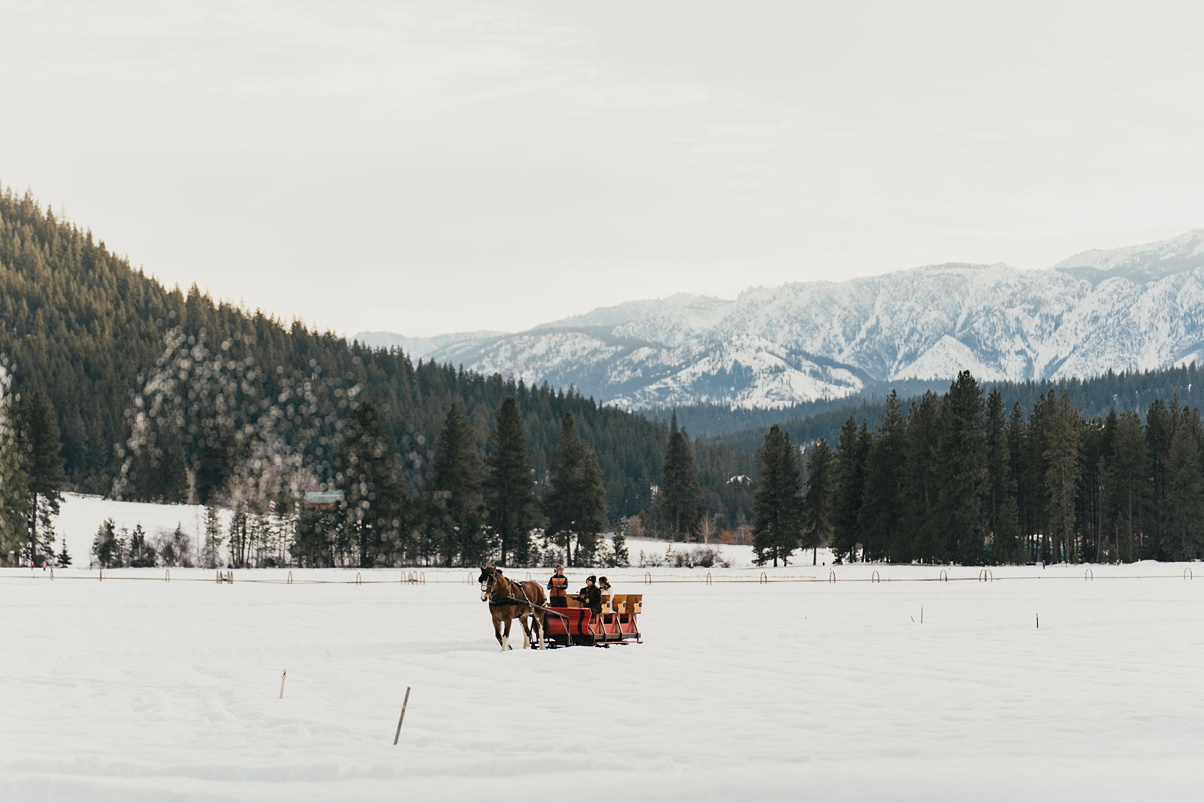A stunning image of the happy couple's horse-drawn sleigh in the snow, with mountains in the background