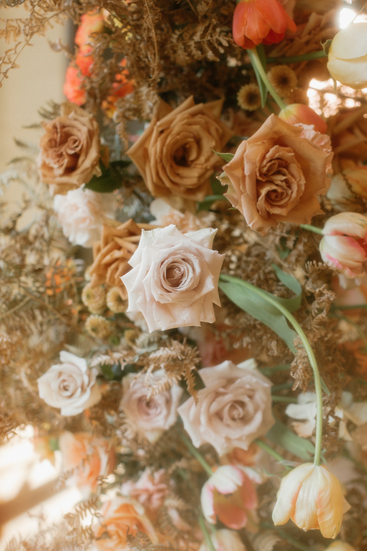 A hazy closeup of the wedding floral arch roses at Block 41