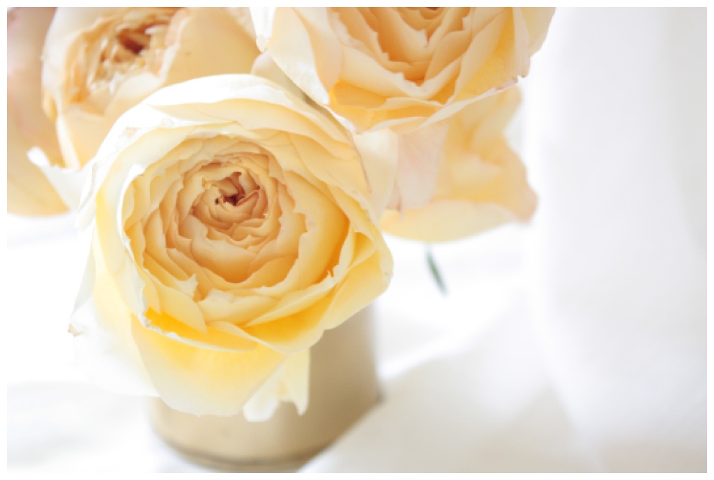 Caramel garden roses in a small vase