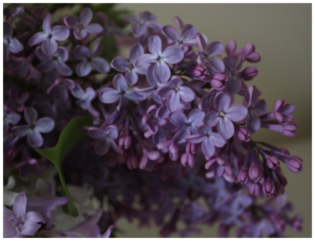 A purple lilac in a May wedding flower arrangement