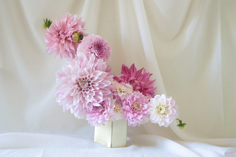 The Best August Wedding Flowers Bloom Poet