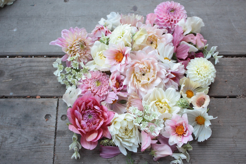 A laid-flat arrangement of August flowers including dahlias and cosmos