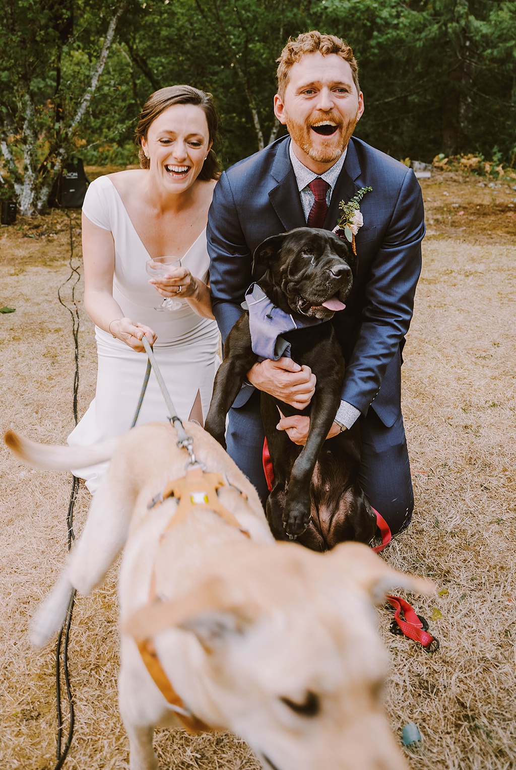 The bride and groom try to wrangle their two dogs at the wedding